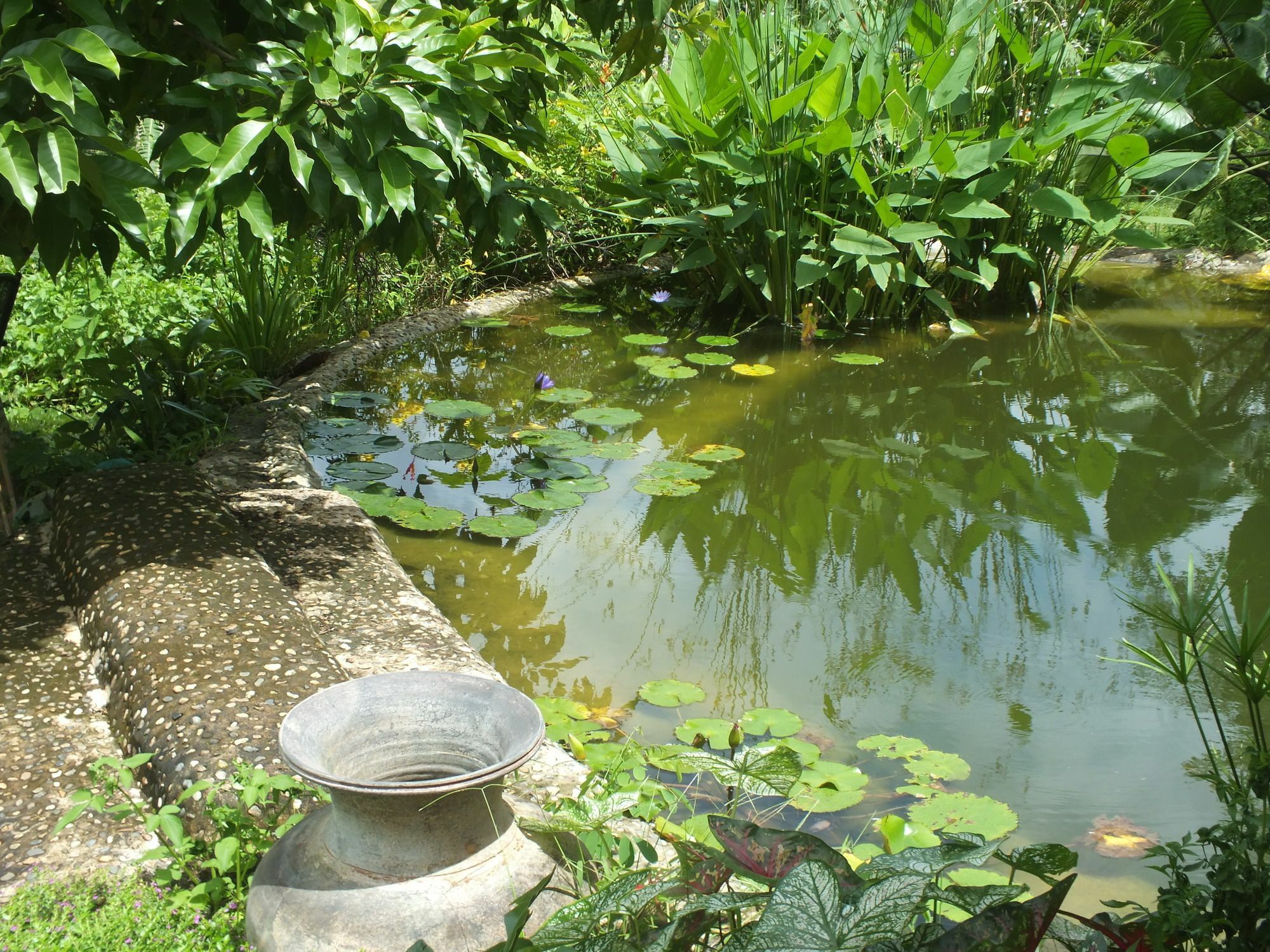 Chiang Dao Roundhouses Exteriör bild